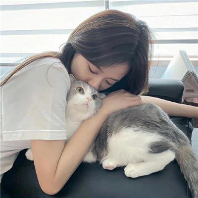 禁止入内的鼹鼠